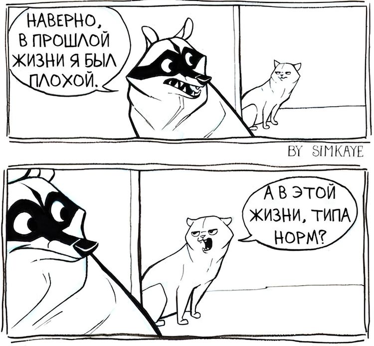 image-20231109114241-6