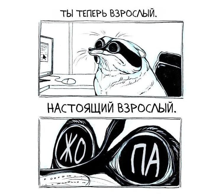 image-20231109114248-8