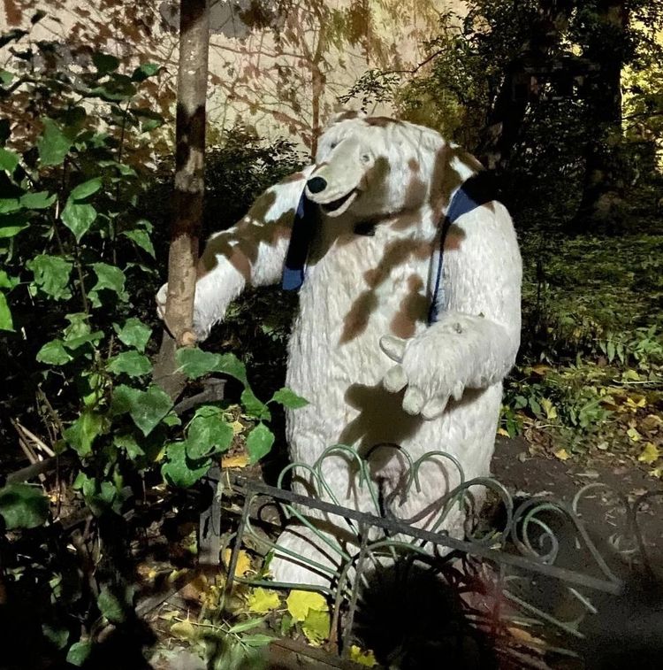 image-20231109132026-3