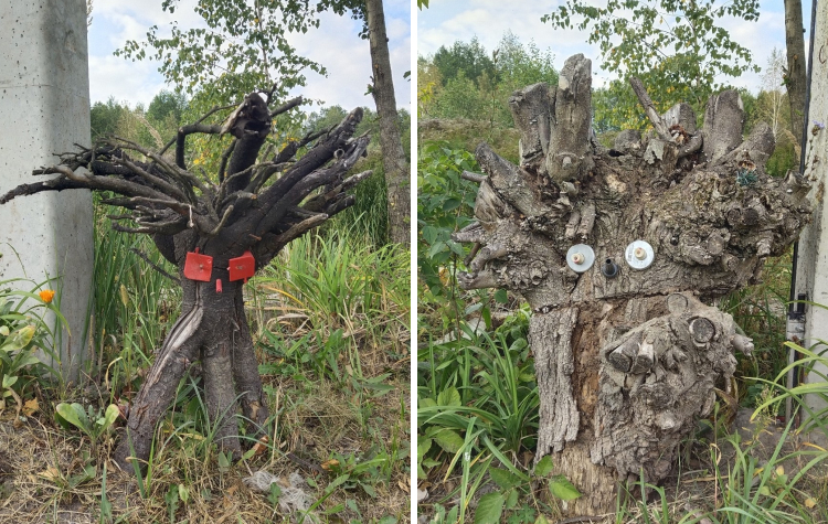 image-20231109132308-10