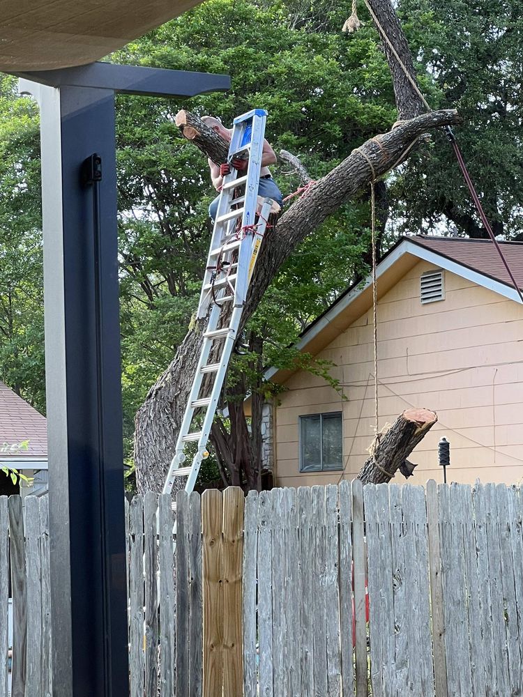 image-20231113002924-2