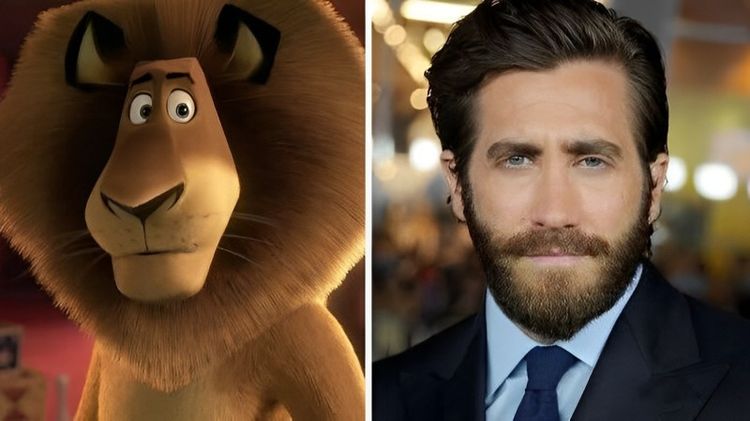 image-20231117122355-8