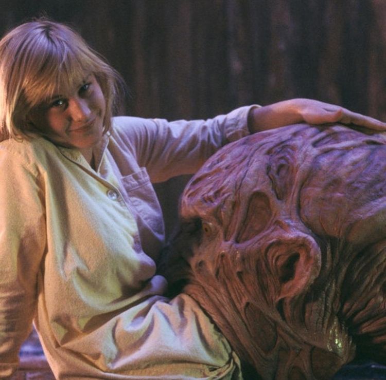 image-20231118115926-9