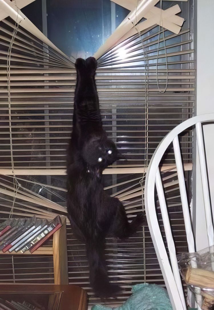 image-20231118134653-1