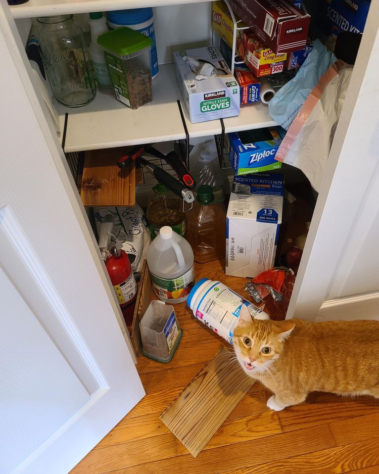 image-20231118134656-2