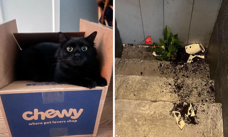 image-20231118134659-3