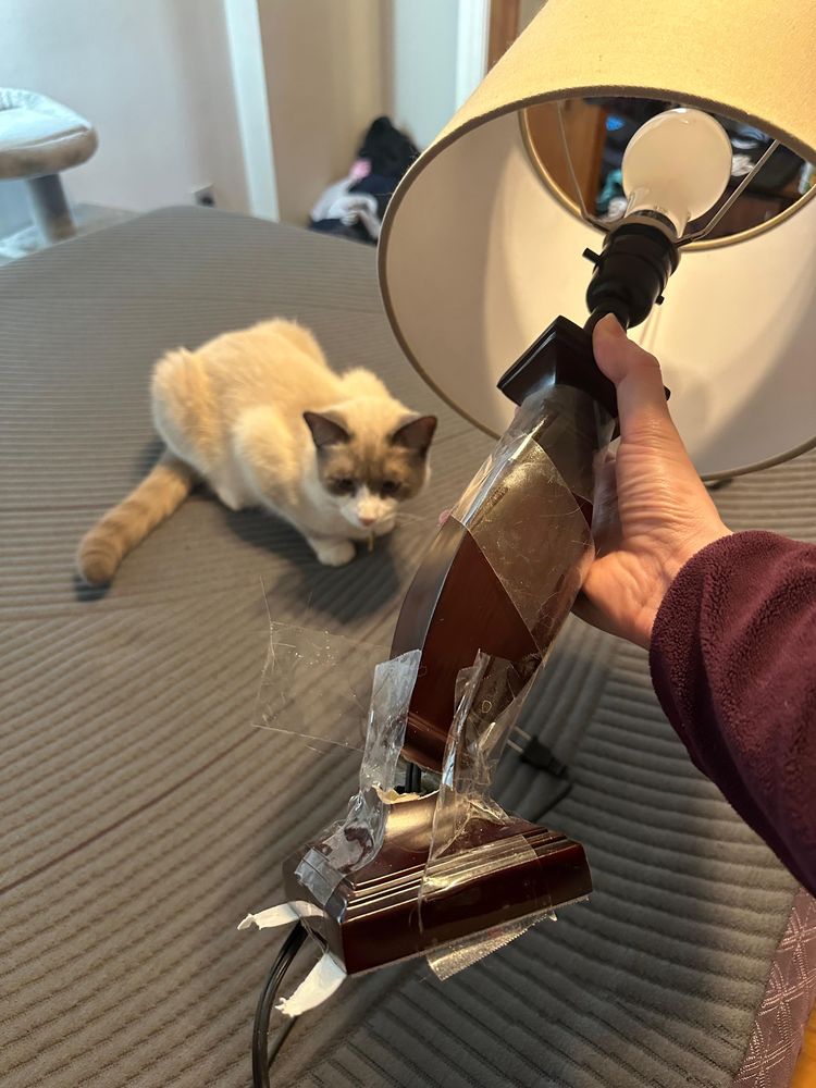 image-20231118134702-4