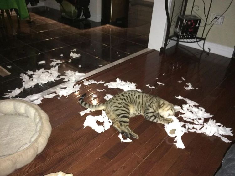 image-20231118134708-5