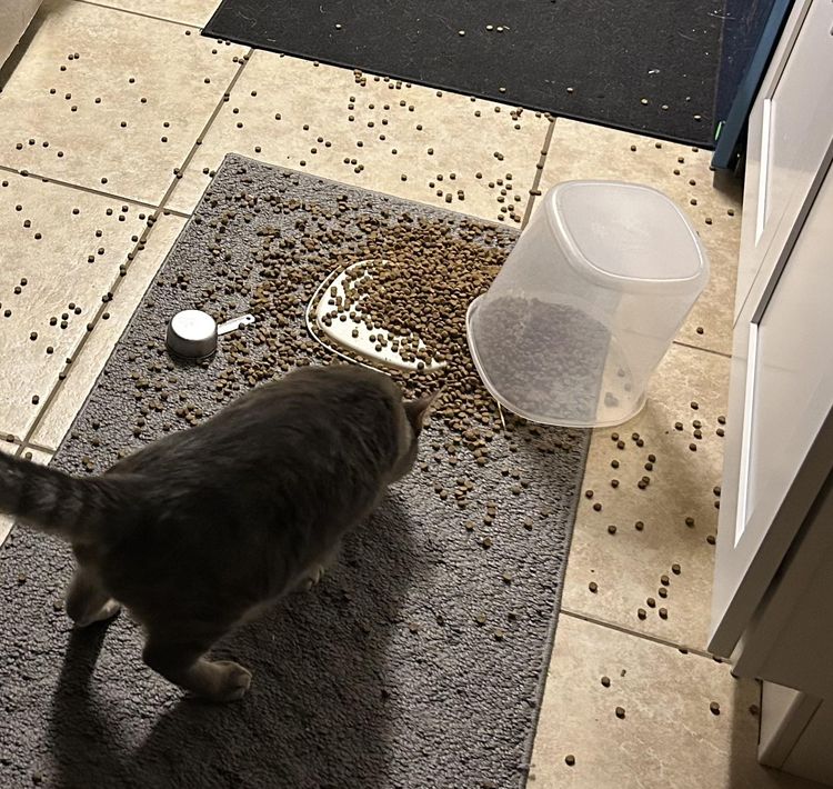 image-20231118134712-6