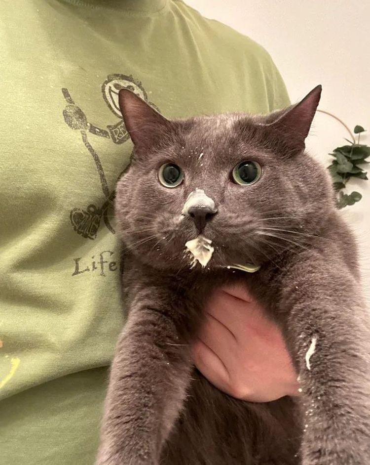 image-20231118134738-11