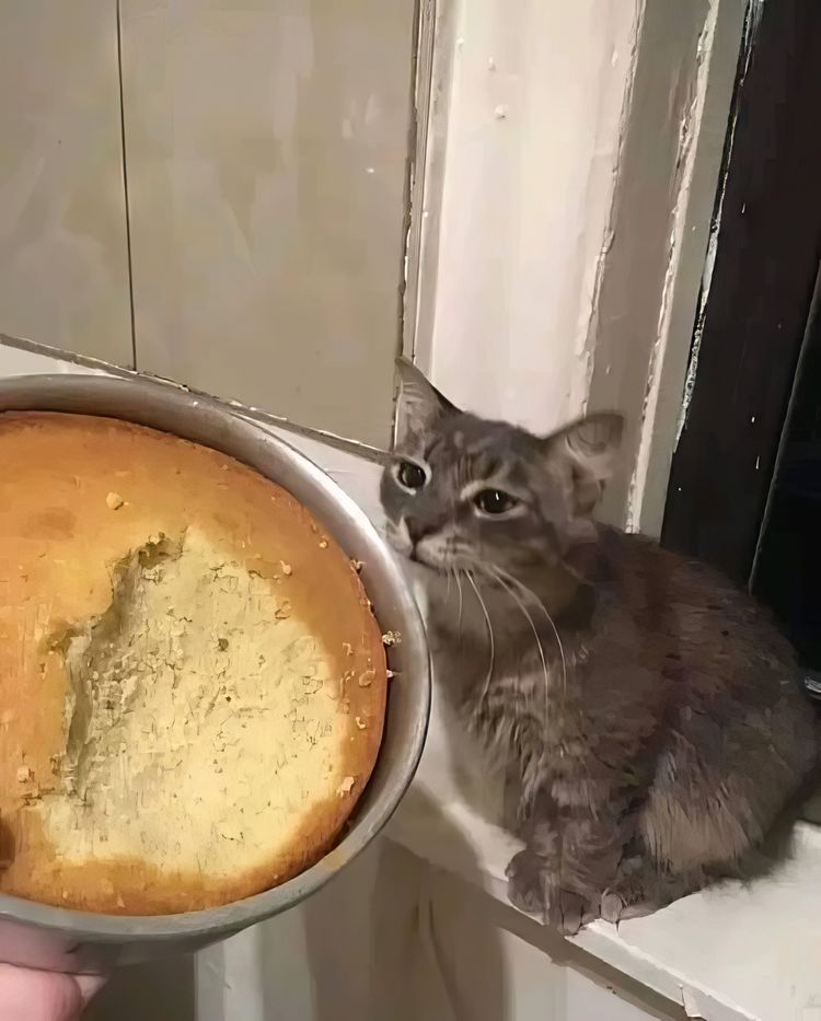 image-20231118134742-12