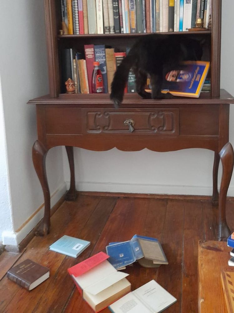 image-20231118134747-13