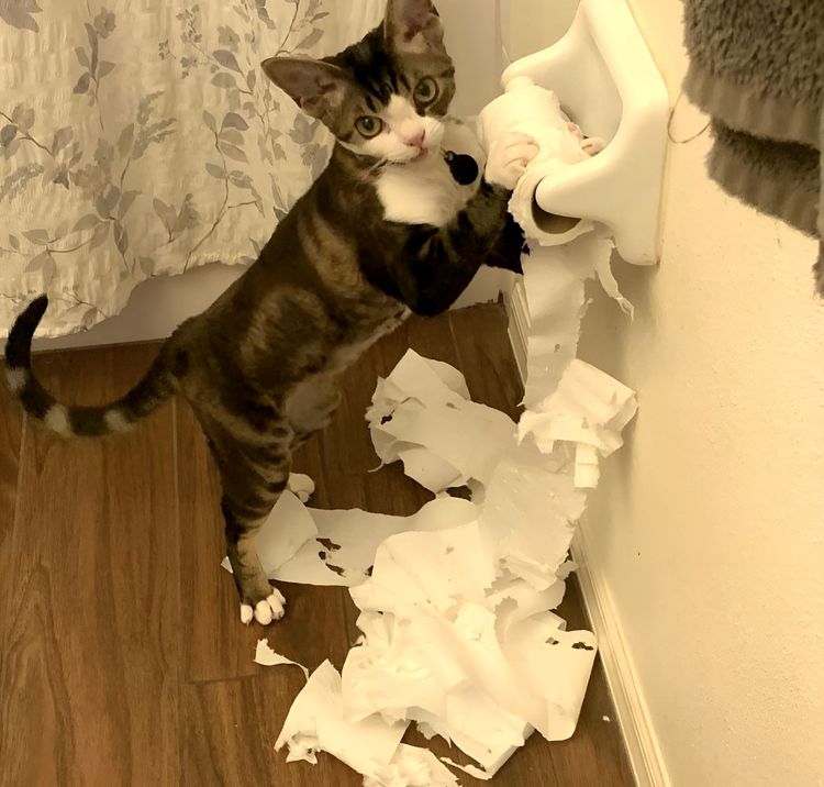 image-20231118134751-14