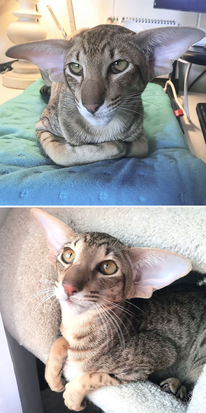 image-20231120130436-9