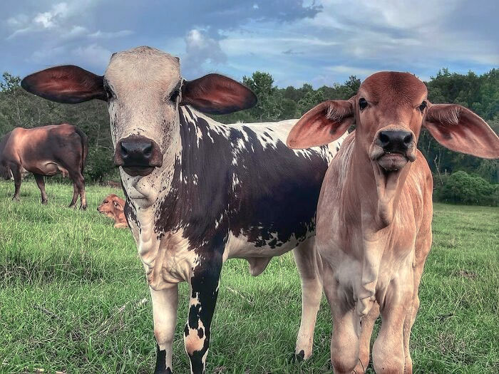 image-20231120130440-10