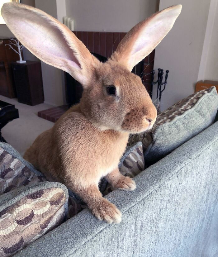 image-20231120130443-11