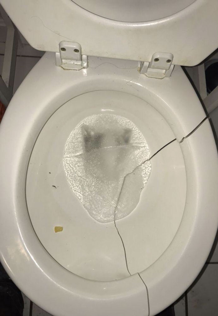 image-20231121113334-4