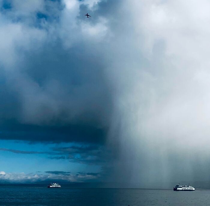 image-20231121113339-5