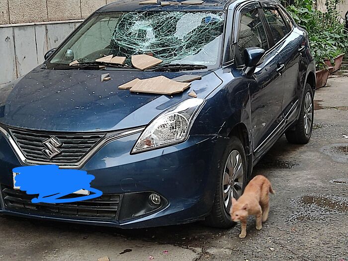 image-20231121113349-8