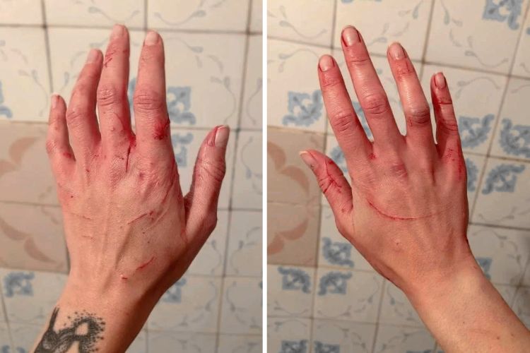 image-20231121135930-2