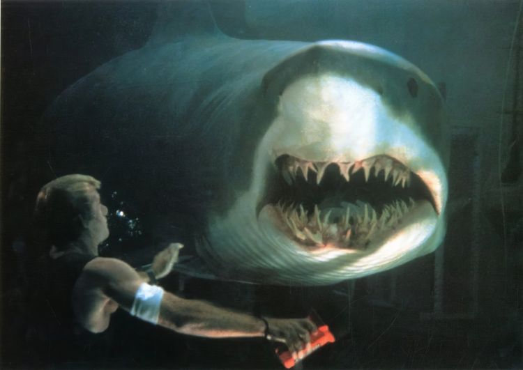 image-20231121152529-6