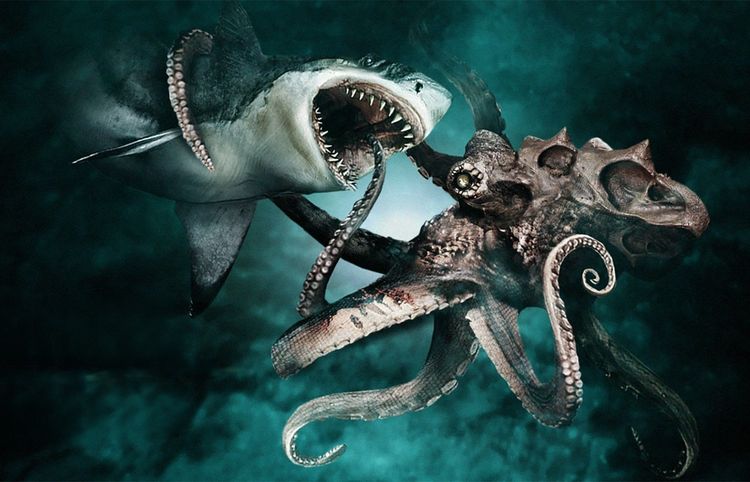 image-20231121152803-10