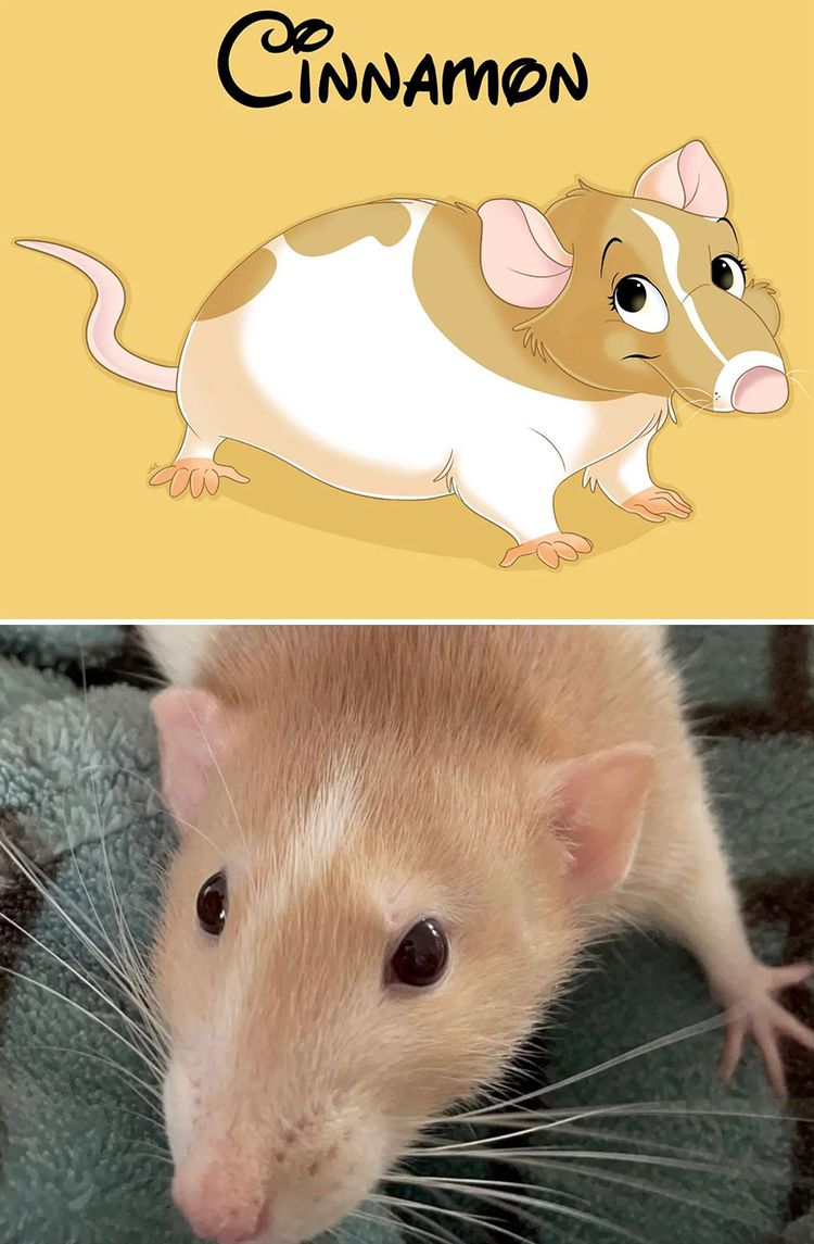 image-20231122103138-5