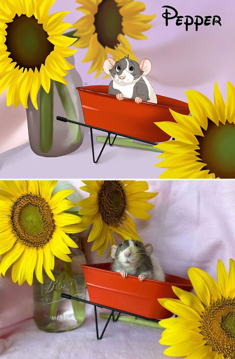 image-20231122103208-13