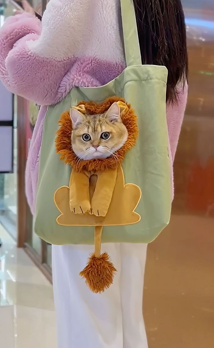 image-20231124144741-6