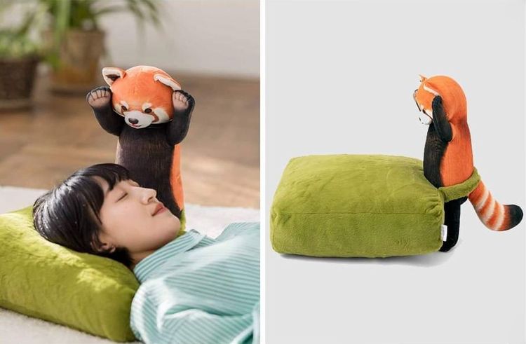 image-20231124144844-13