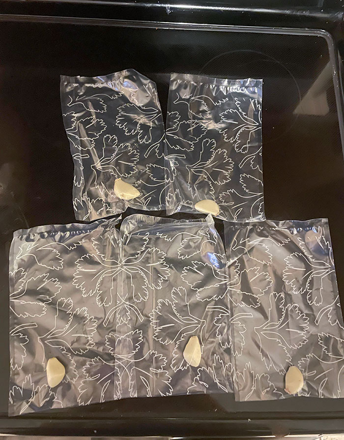 image-20231206112937-7