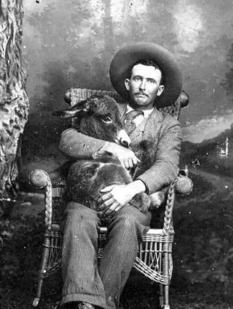 image-20231206151314-7