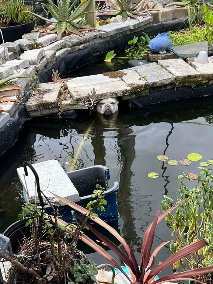 image-20231206162710-1