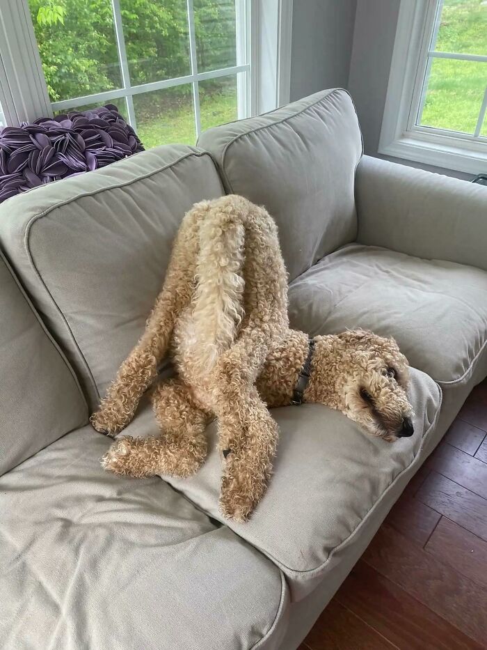 image-20231206162713-2