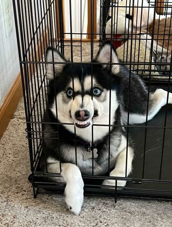 image-20231206162716-3