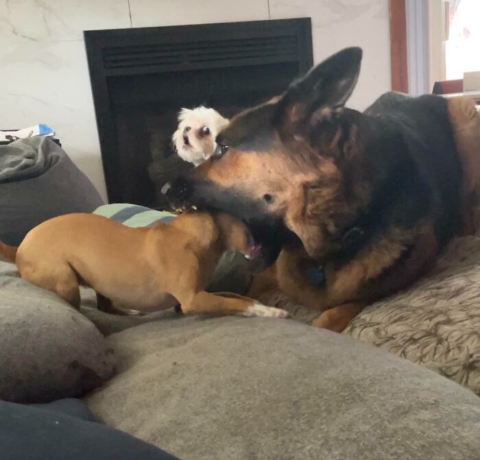 image-20231206162727-6