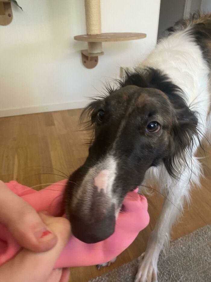 image-20231206162745-11