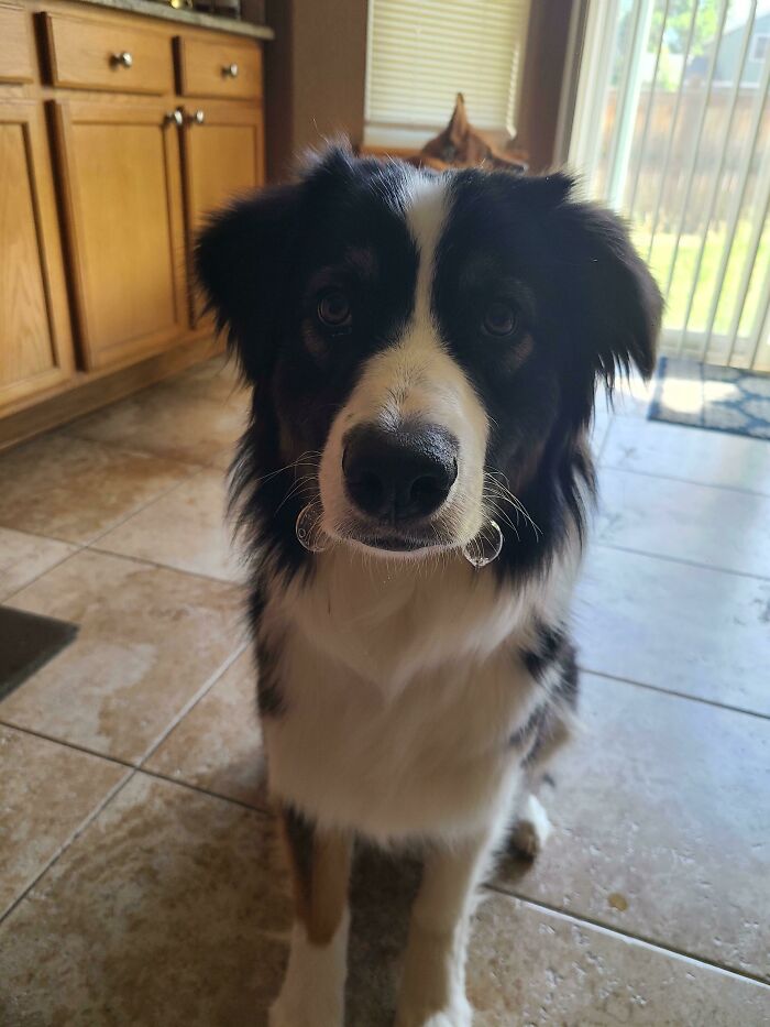 image-20231206162748-12