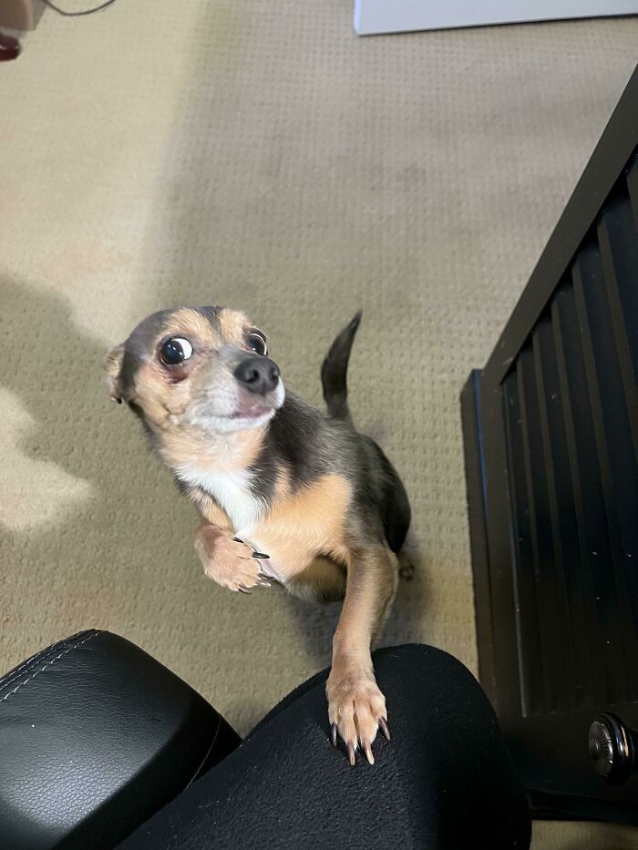 image-20231206162752-13