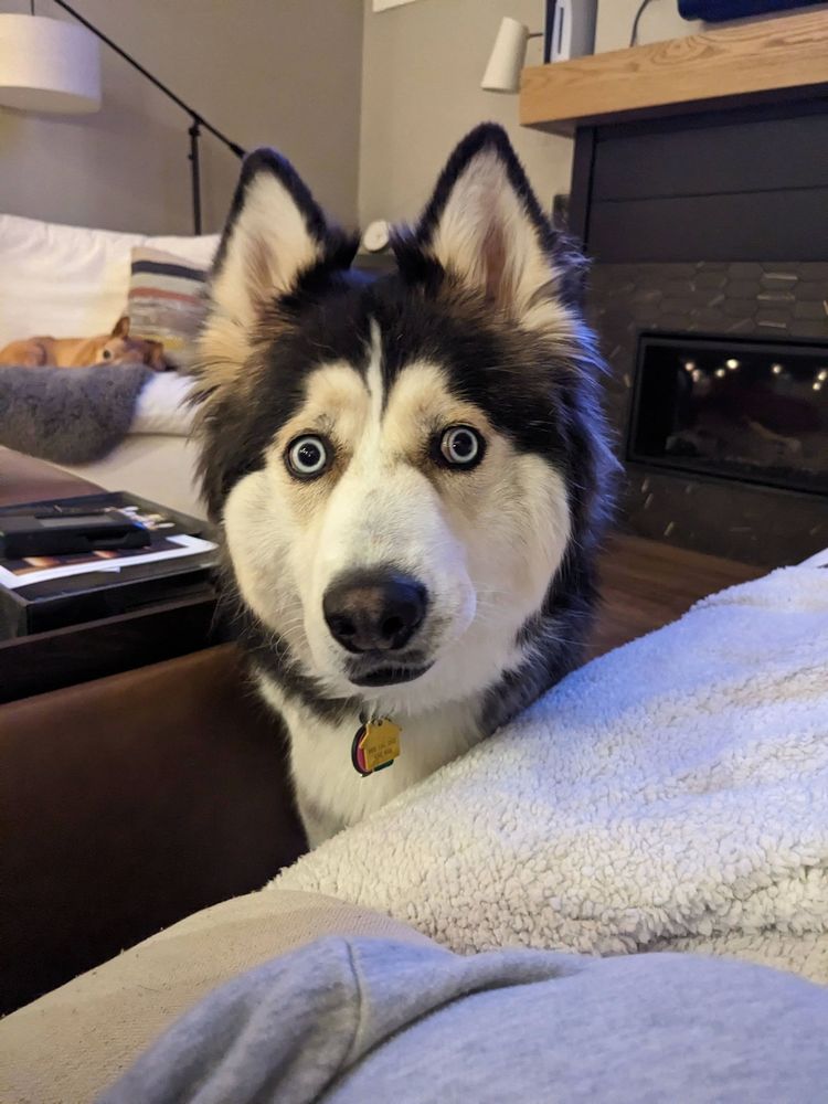 image-20231206162755-14