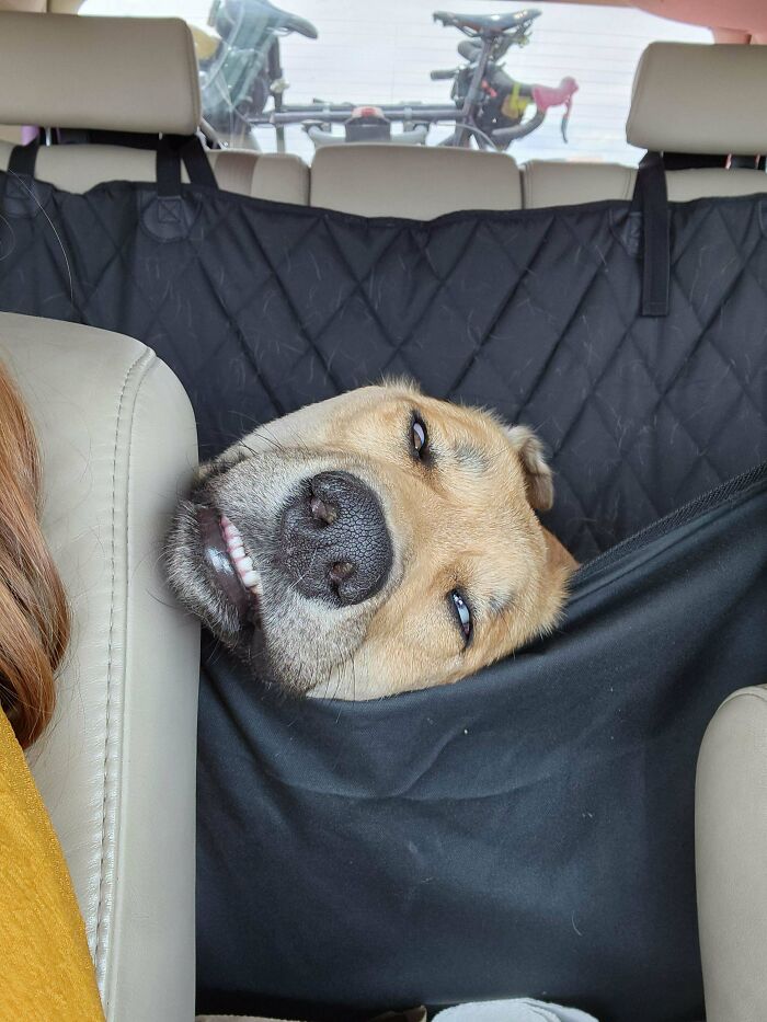 image-20231206162758-15