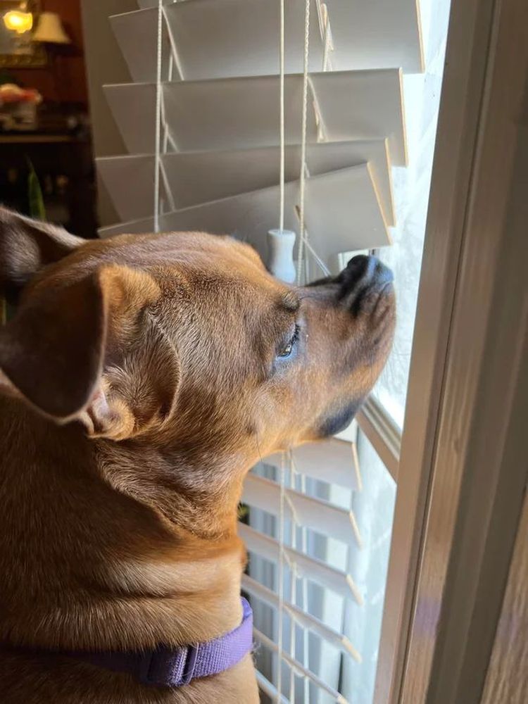 image-20231206162804-17