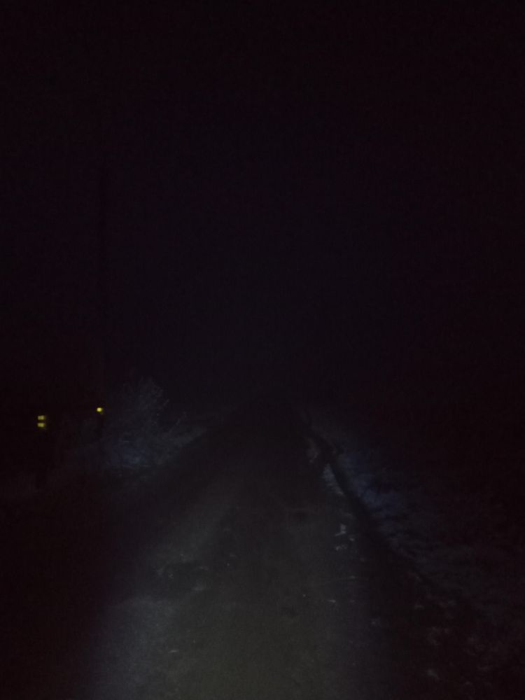 image-20231207112210-2