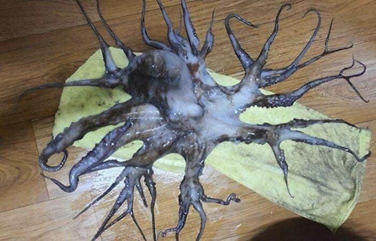 image-20231207112233-8