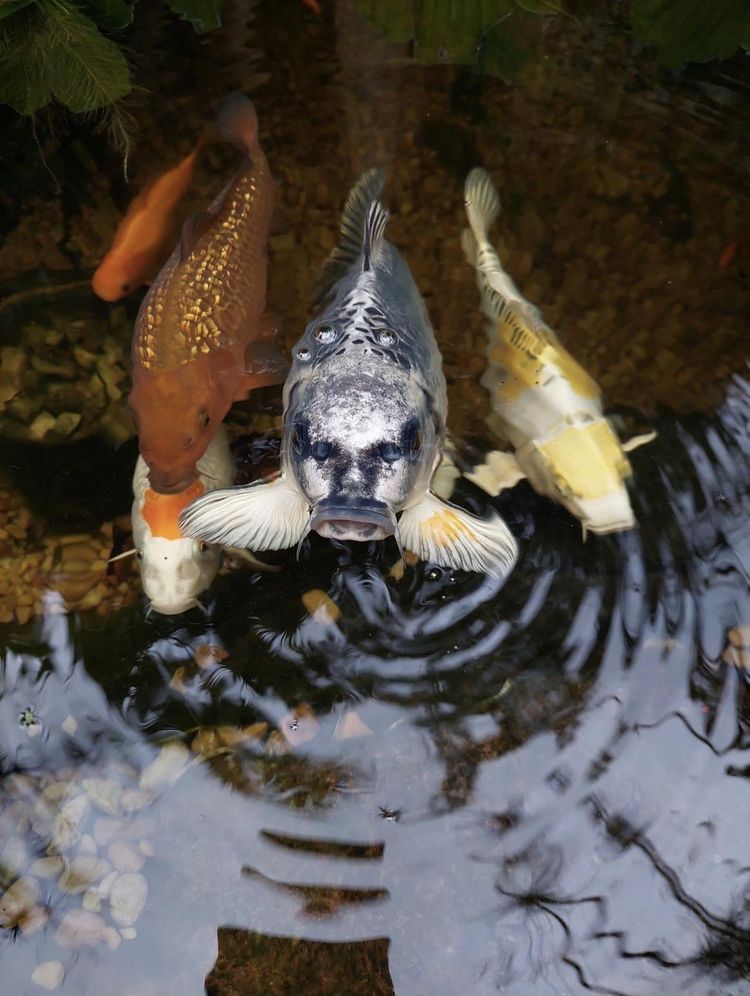 image-20231207112238-9