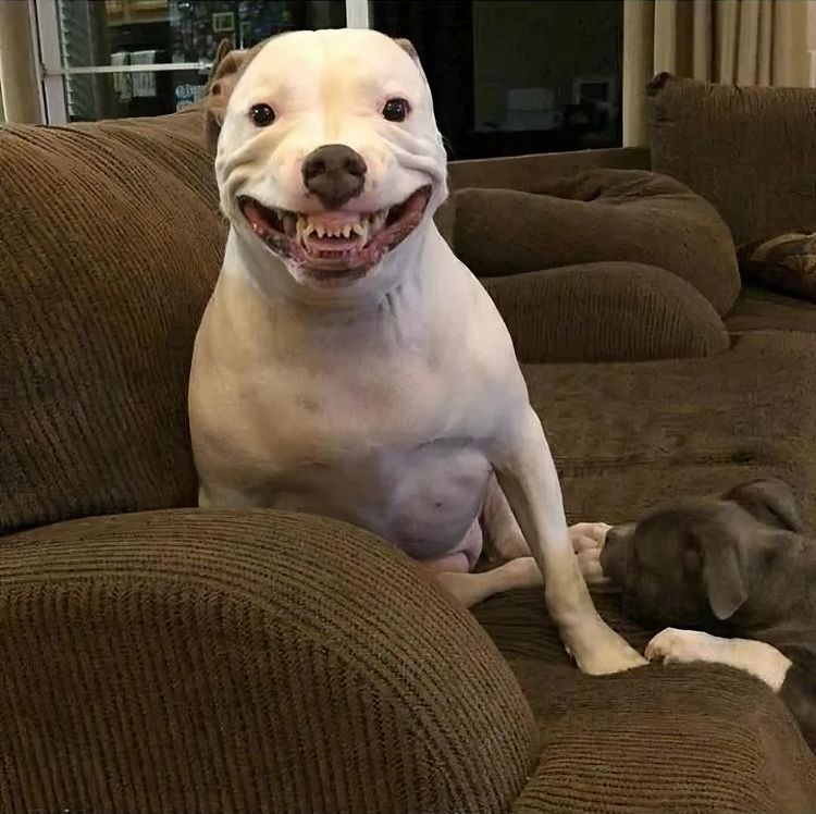 image-20231207112249-11