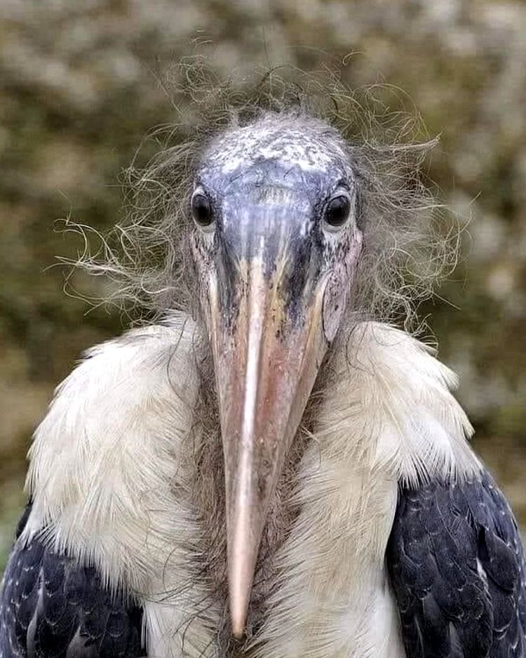 image-20231207112305-15