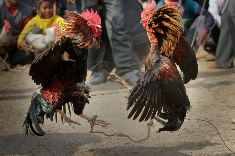 image-20231208134910-3