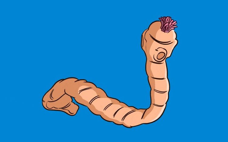 image-20231208134921-6