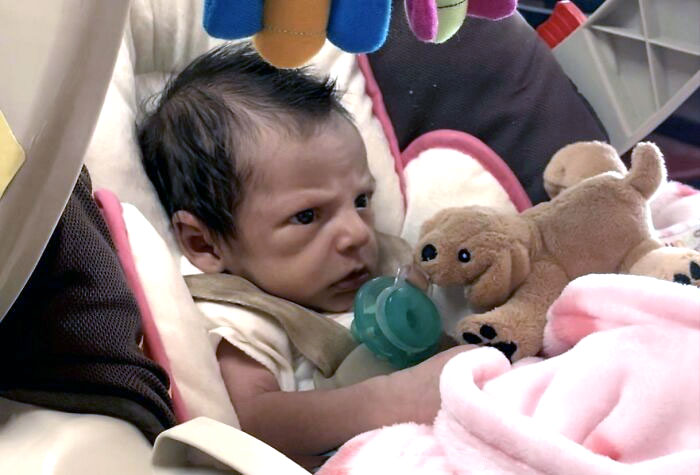 image-20231211102423-16